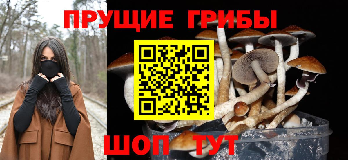 Галлюциногенные грибы Cubensis  Псилоцибиновые грибы прущие грибы  Вход с VPN  Медногорск 